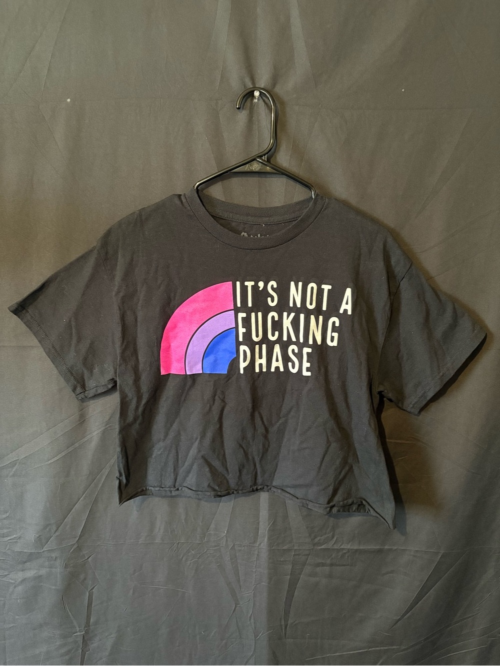 Spencer's It's Not a Phase Bisexual Pride Crop Top